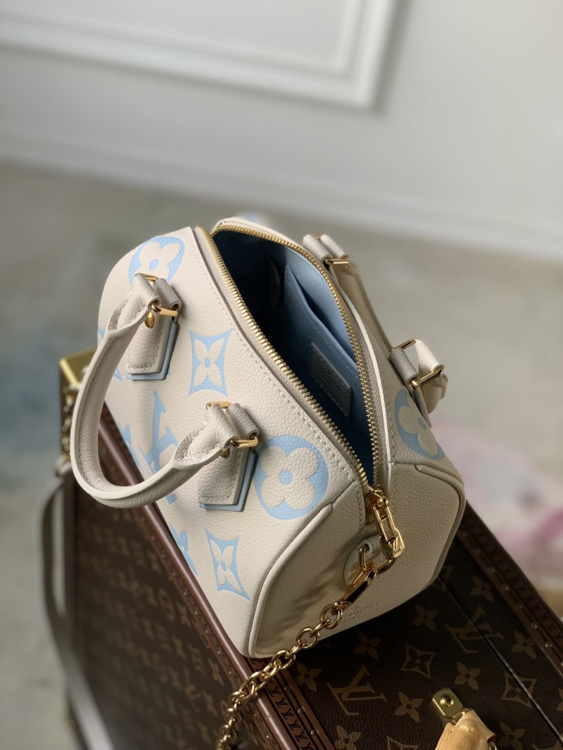 LV Travel Bags